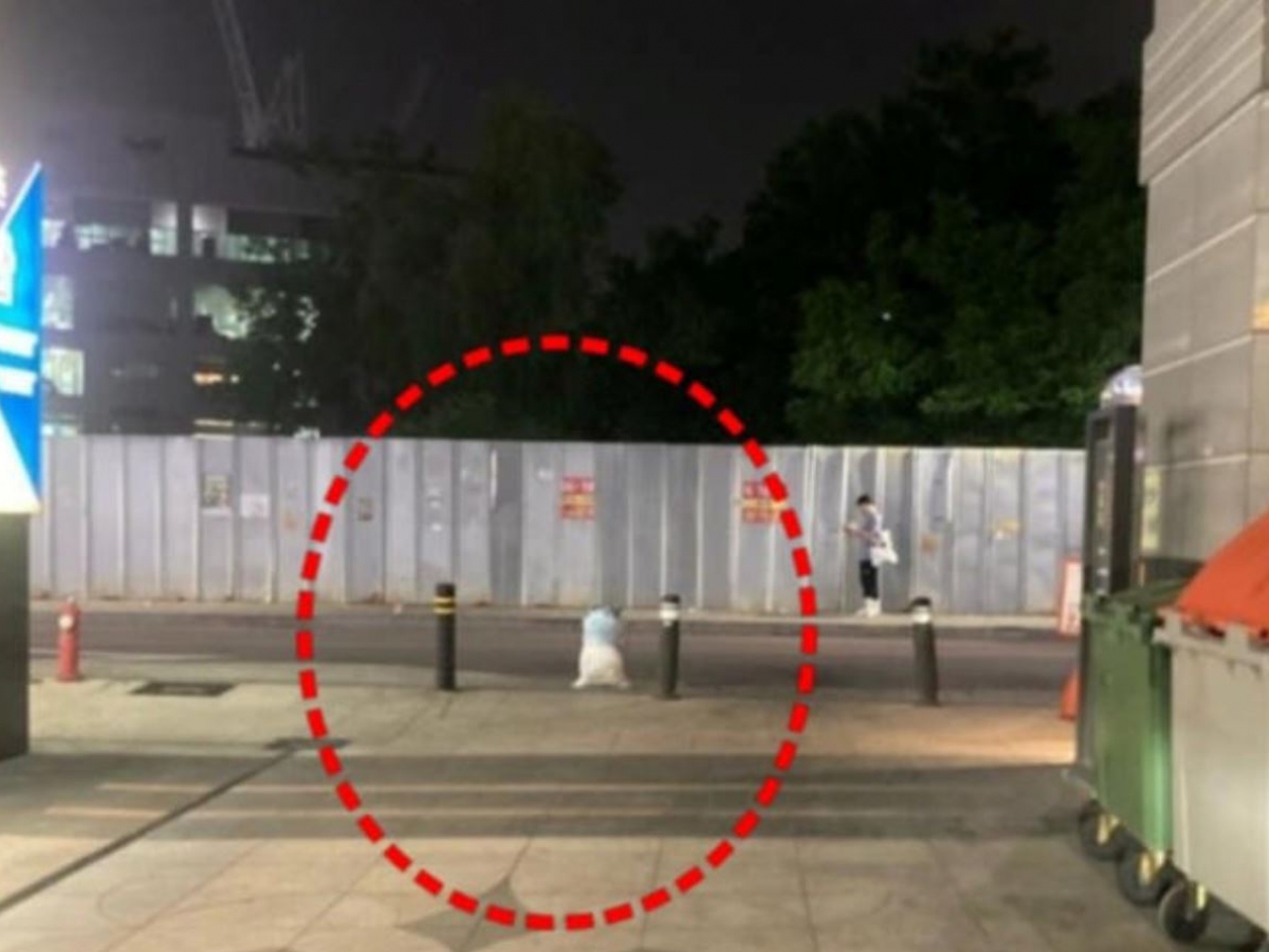 길에 주저앉아 울고 있는 대한항공 승무원...“도대체 무슨 일?“ 화제