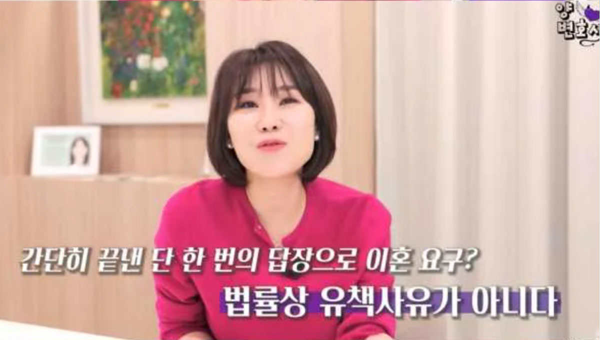 양나래 변호사 이혼 법률 설명 분홍색 의상 출연 영상 사진